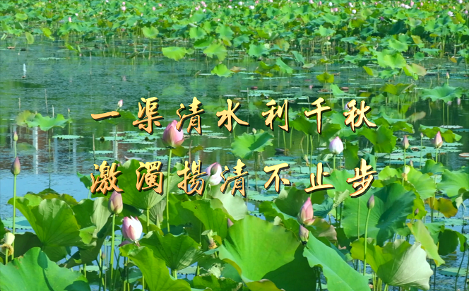【廉水流深】一渠清水利千秋 激濁揚清不止步