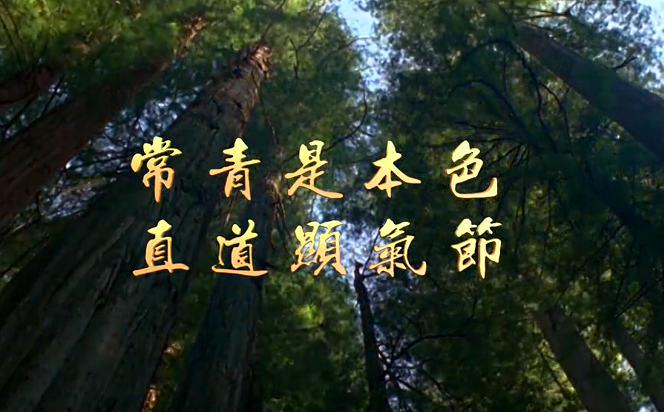 【廉水流深】常青是本色 直道顯氣節