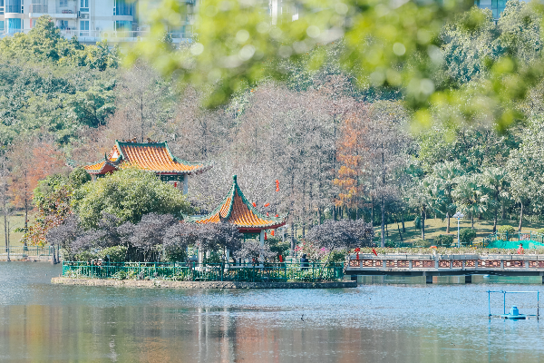 驚蟄｜春雷煥蟄蟲，花開萬物新
