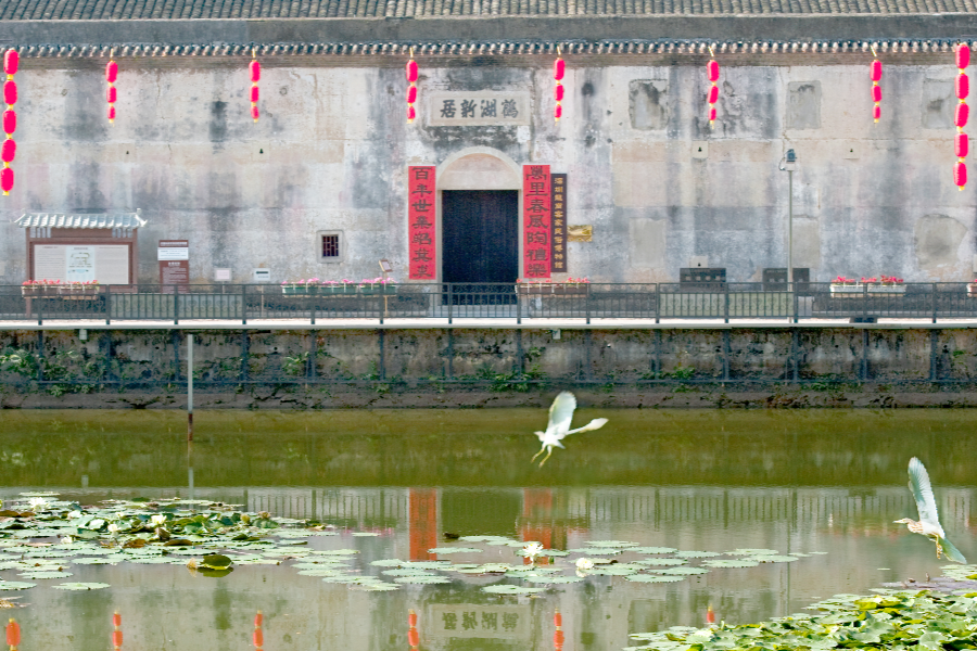 谷雨｜雨生百谷，市衍萬(wàn)物