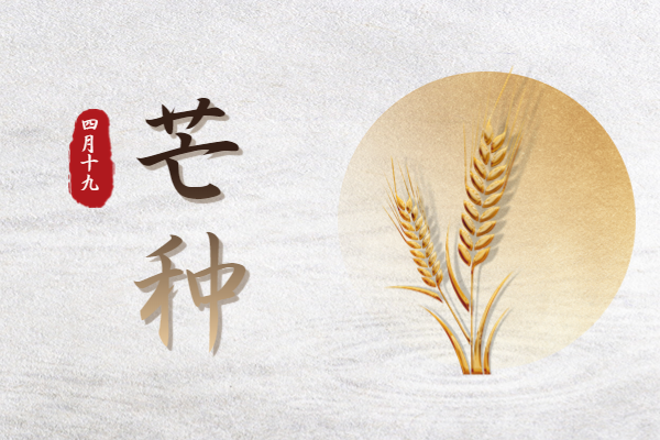 芒種｜忙有所得，耕有所獲