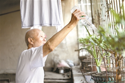 W020190726246776186350.jpg W020190810796972064609.jpg