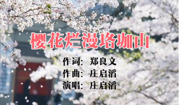 獻給戰疫者的歌 | 櫻花爛漫珞珈山