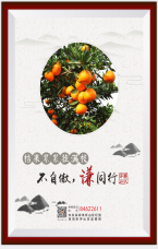 桔果累累掛滿枝 不自傲 謙同行