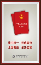 集中統一 權威高效