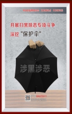開展掃黑除惡專項斗爭