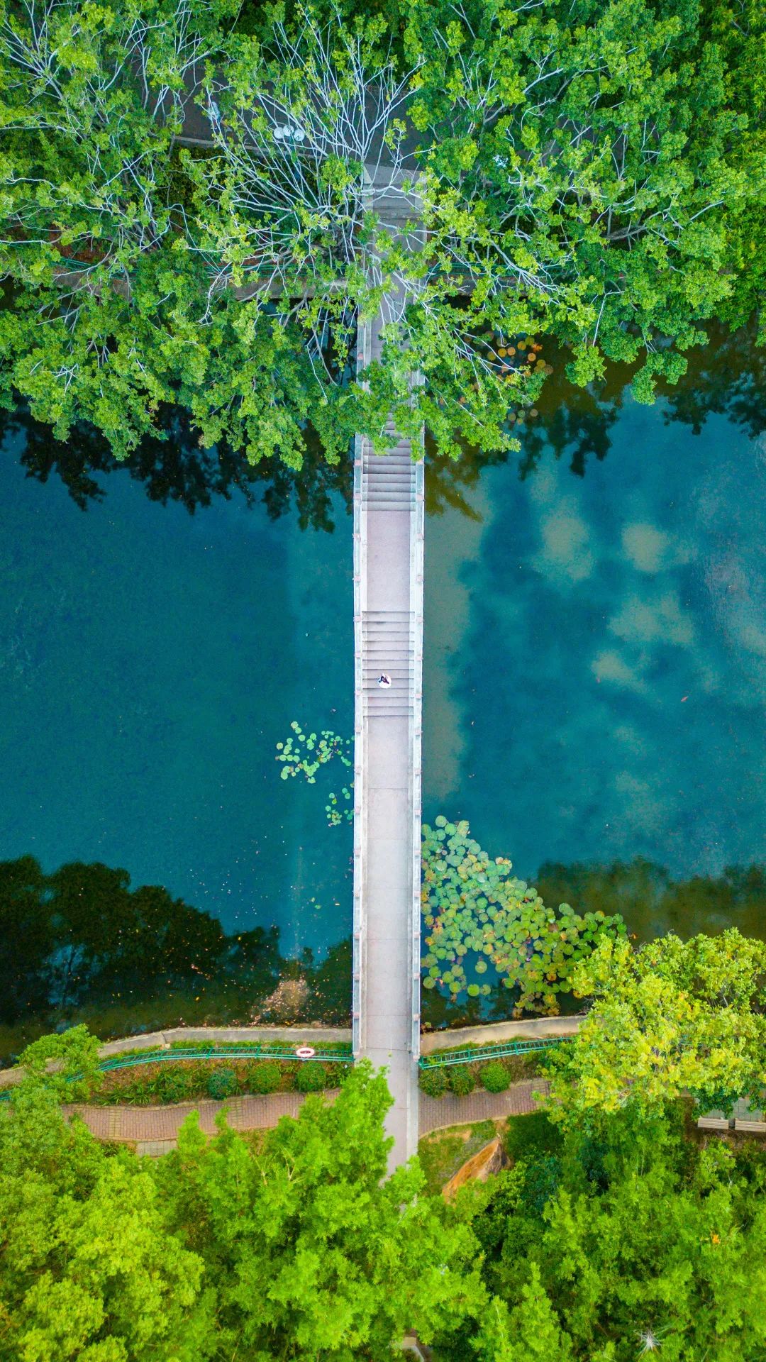 微信圖片_20230727160447.jpg 圖片