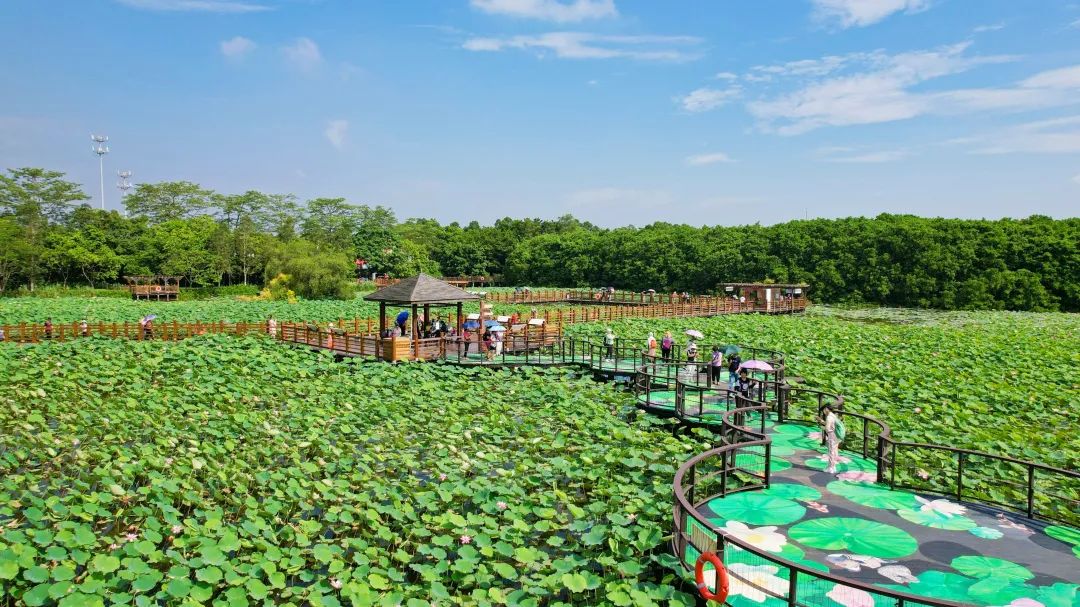 無日期原圖ps.jpg 圖片