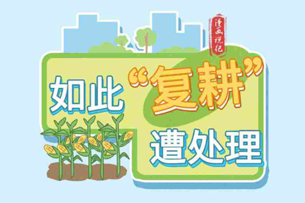 漫畫說紀｜如此“復耕”遭處理