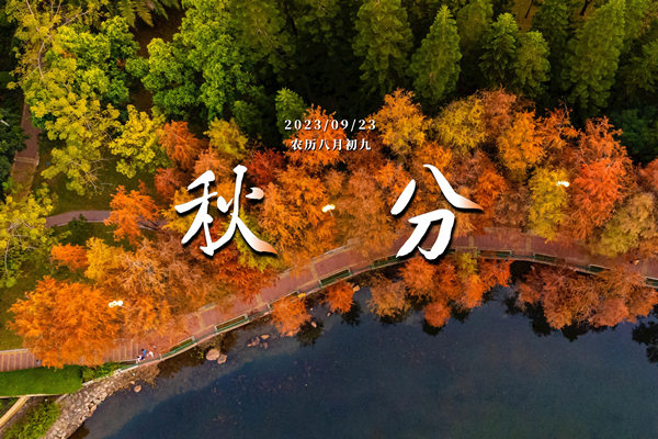 秋分｜平分秋色 收獲美好