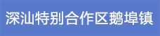 19.深汕特別合作區鵝埠鎮.png