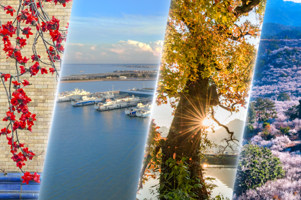 粵圖粵廉｜我們一起走過的2023