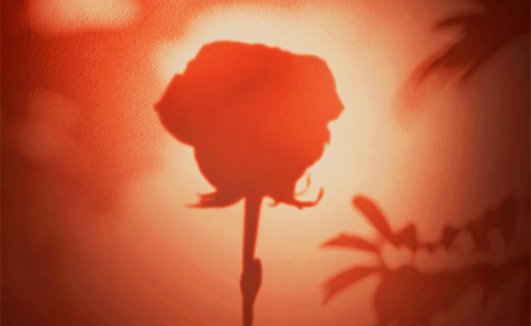 海報｜不必借誰的光 “她們”自會閃耀