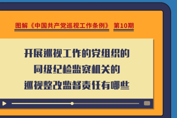 圖解巡視工作條例｜開展巡視工作的黨組織的同級紀檢監察機關的巡視整改監督責任有哪些