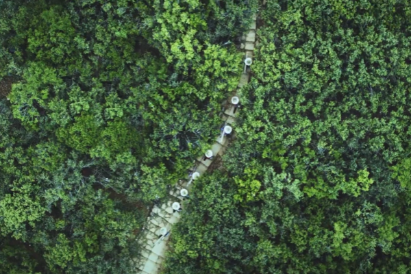 清風·傳承｜清明：氣清景明 慎終追遠