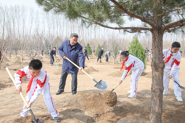 習近平在參加首都義務植樹活動時強調 全民植樹增綠 共建美麗中國