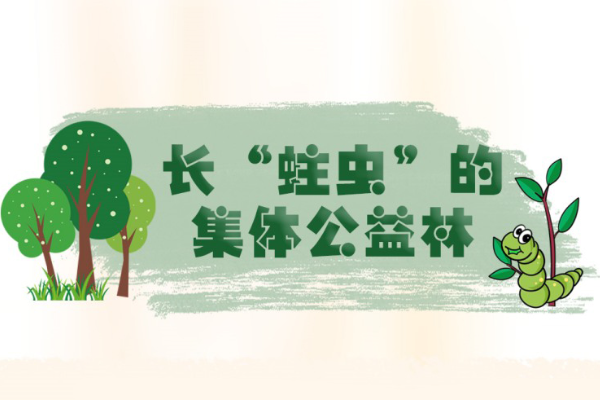 漫畫說紀(jì)｜長(zhǎng)“蛀蟲”的集體公益林