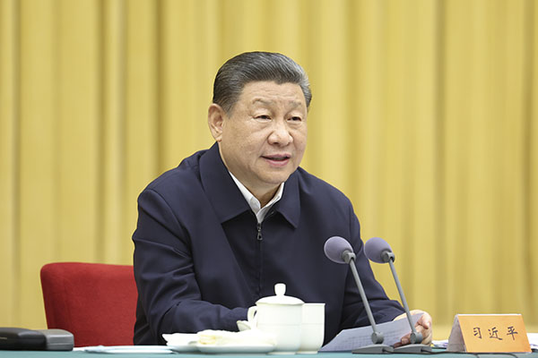 習(xí)近平主持召開新時(shí)代推動(dòng)西部大開發(fā)座談會