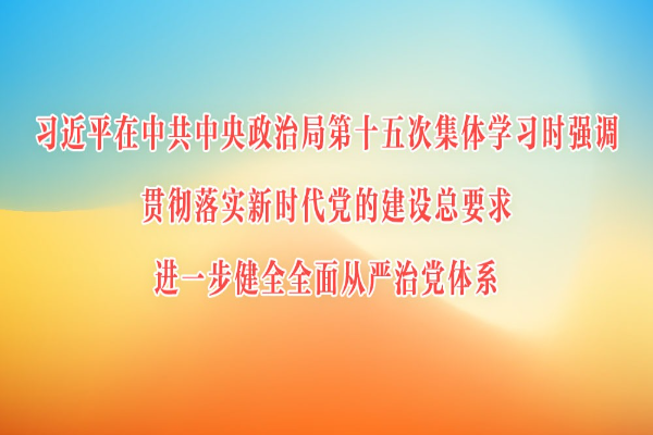習近平在中共中央政治局第十五次集體學習時強調 貫徹落實新時代黨的建設總要求 進一步健全全面從嚴治黨體系