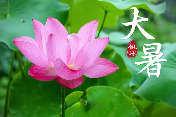 清風·傳承｜大暑：暑極孕新物 烈火出新彩