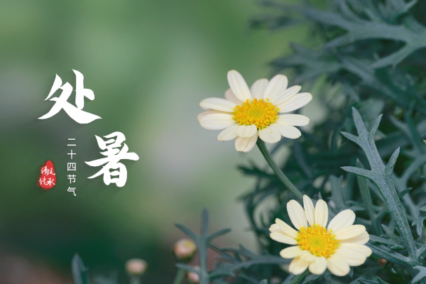 清風·傳承｜處暑：豐收漸進 家風悠長