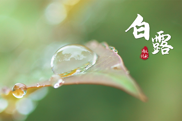 清風·傳承｜白露：開筆啟智 人生始立