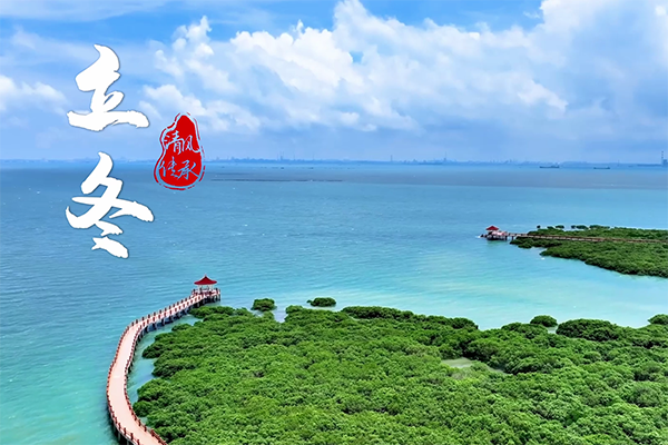 清風·傳承｜立冬：清風勁吹 逐綠前行