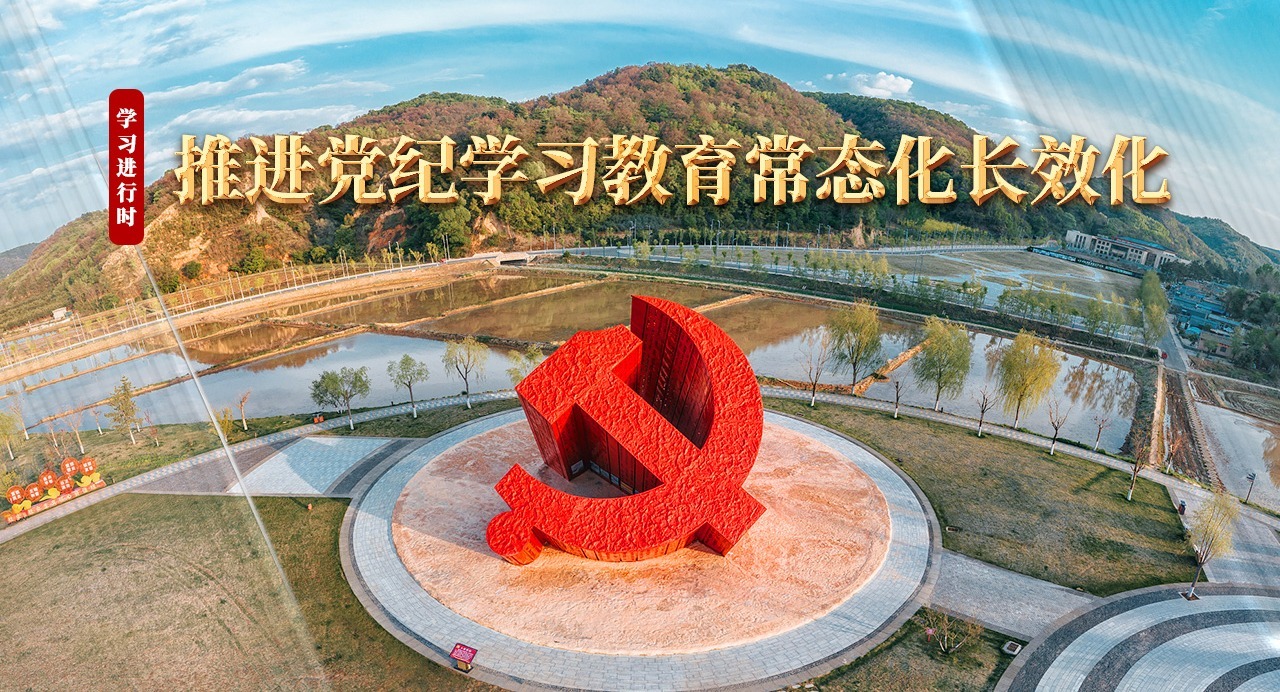 學習進行時｜推進黨紀學習教育常態(tài)化長效化
