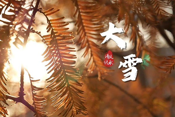 清風·傳承｜大雪：鳶飛魚躍 風正氣清