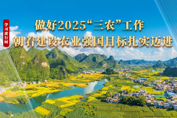 學習進行時｜做好2025年“三農”工作 朝著建設農業強國目標扎實邁進