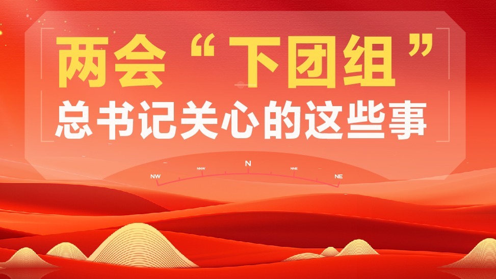 圖解 | 兩會“下團組”總書記關心的這些事
