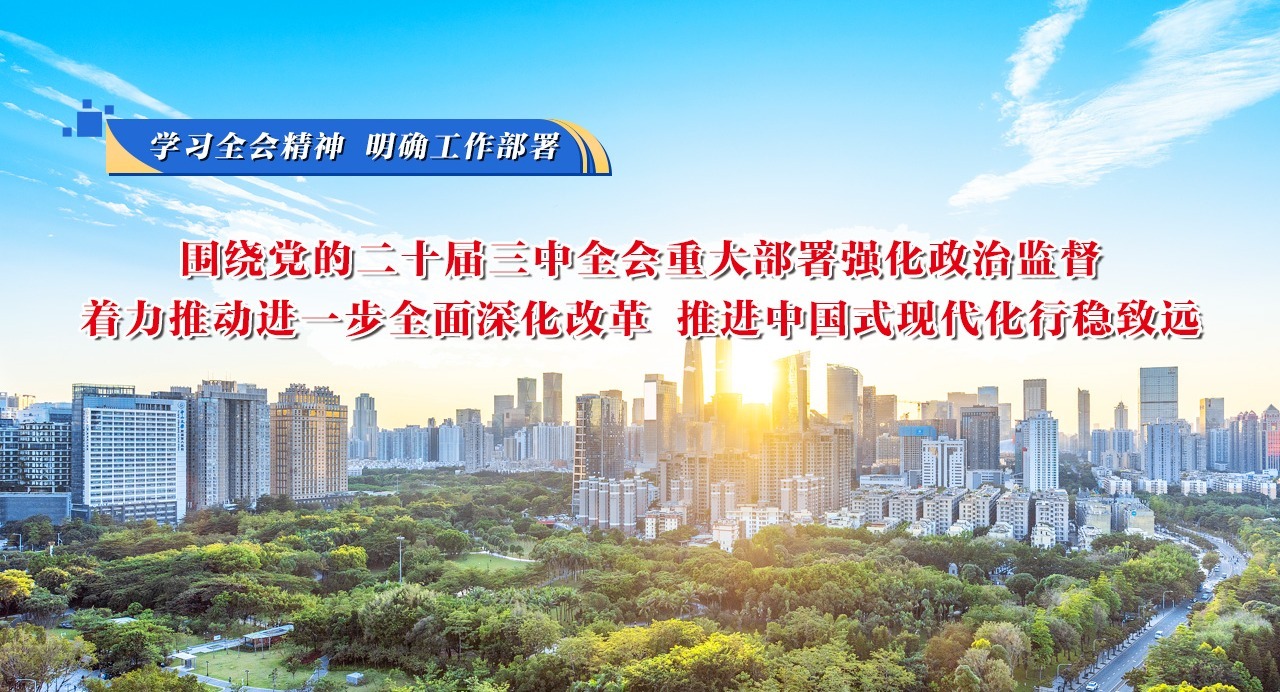 學習全會精神 明確工作部署①圍繞黨的二十屆三中全會重大部署強化政治監督，著力推動進一步全面深化改革、推進中國式現代化行穩致遠