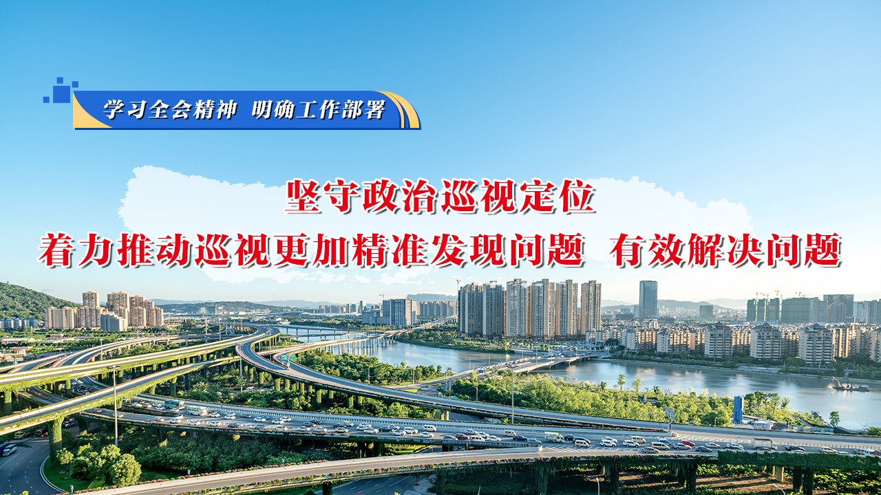 學(xué)習(xí)全會(huì)精神 明確工作部署⑤堅(jiān)守政治巡視定位，著力推動(dòng)巡視更加精準(zhǔn)發(fā)現(xiàn)問(wèn)題、有效解決問(wèn)題