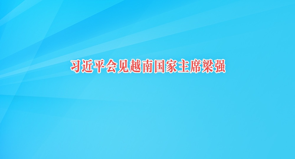 習(xí)近平會(huì)見越南國家主席梁強(qiáng)