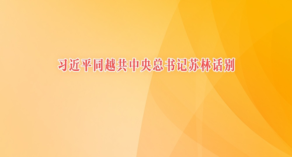 習(xí)近平同越共中央總書記蘇林話別