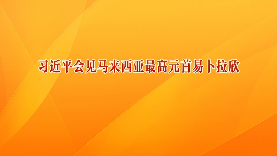 習(xí)近平會(huì)見馬來西亞最高元首易卜拉欣