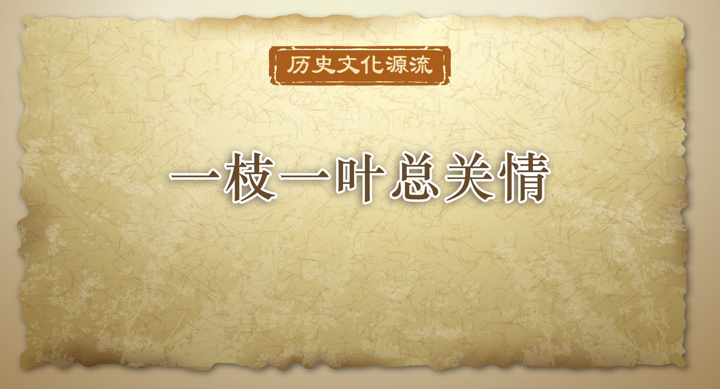 歷史文化源流｜一枝一葉總關情
