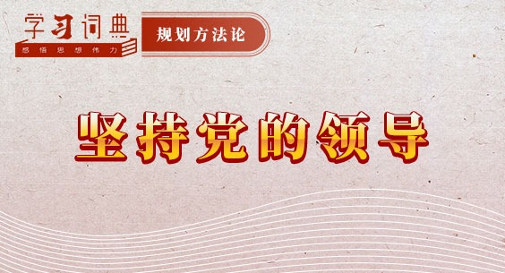 學習詞典·規劃方法論丨堅持黨的領導
