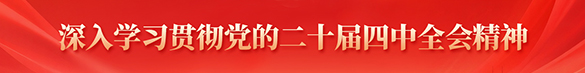 深入學習貫徹黨的二十屆四中全會精神